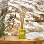 Bouquet parfumé à tiges Verveine de Provence 100ml