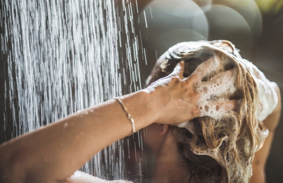 shampooing lait d'ânesse